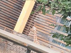 -太原动物园