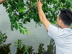 -溪悦渔庄(九龙湖店)