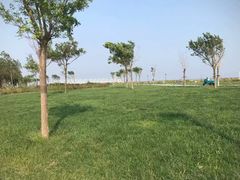 -天津妈祖文化园