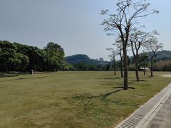 -大屏嶂森林公园