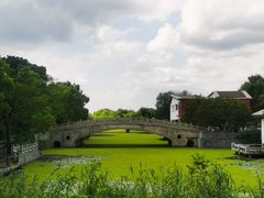 -溱湖国家湿地公园