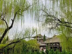 -西安青龙寺遗址景区