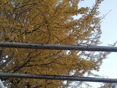 -辽宁大学(崇山校区)