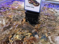 -盒马X会员店(上海森兰商都店)