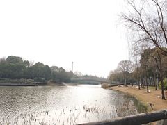 -南翔镇银翔湖公园