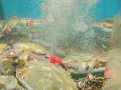 -海味当家·蒸锅海鲜(星海公园店)