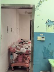 -喜宝悉贝月子会所(锦江店)