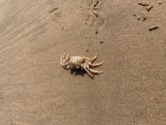 -宁波松兰山滨海旅游度假区