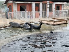 -渔岛海洋度假区