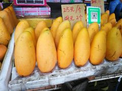 -南沙十九涌渔人码头-南门