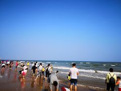 -东海岛旅游度假区