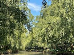 -大湾区中央湿地公园