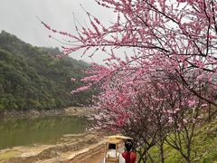 -婺源梦里老家大型山水实景演出