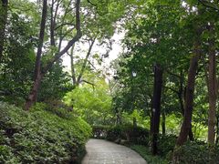 -杭州半山国家森林公园