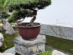 -水绘园