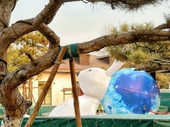 -静之湖度假区
