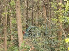 -青龙山国家森林公园