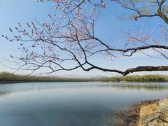-颐和园