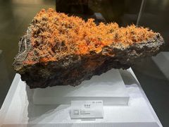 -湖南省地质博物馆