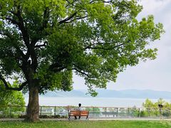 -东钱湖旅游度假区