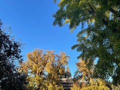 -北京石刻艺术博物馆(五塔寺)