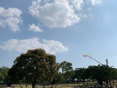 -东莞植物园