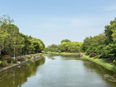 -上海海湾国家森林公园