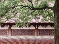 -云碧峰国家森林公园