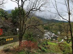 -塔川景区