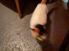 -江湖边·小生活