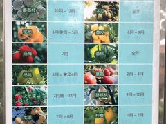 -呀路古热带植物园