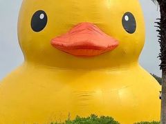 -深圳湾万象城