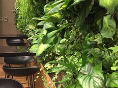 -Seesaw Coffee(环贸iapm店)
