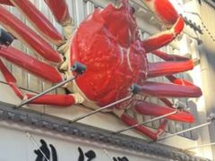 -蟹道乐(道顿堀本店)