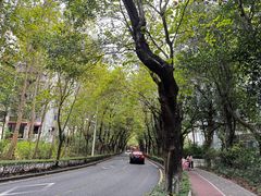 -旧天堂书店(华侨城创意文化园南山特色文化街区店)