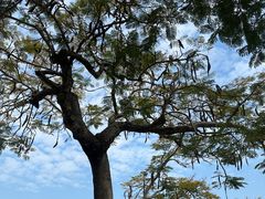 -湄南泰式古法按摩แม่น้ำนวดแผนไทยโบราณ