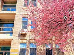 -辽宁大学(崇山校区)