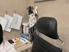 -万博宠物医院·手术·诊疗(未央凤城五路店)