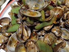 辣炒花蛤-渔民船说·北塘海鲜·天津菜·海肠捞饭(北塘古镇店)
