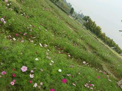 -广东花都香草世界旅游度假区