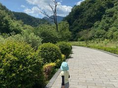 -牛背梁国家森林公园