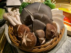 -麻路成都火锅(柏威年店)