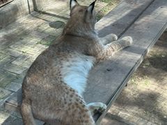 -青藏高原野生动物园