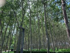 -仁和公园(顺义区)