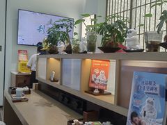 -长风拨筋养身(金虹桥店)