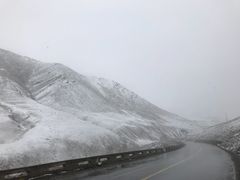 -大冬树山垭口