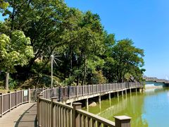 -沂蒙山旅游区云蒙景区(蒙山国家森林公园)