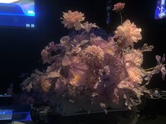 -黑桃K生日订制KTV
