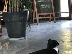 -老赵面店(大西路店)