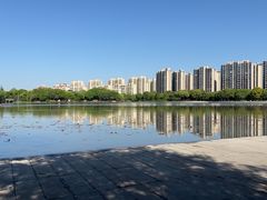 -南翔镇银翔湖公园